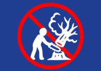 Мали намір заробити на незаконній вирубці лісу, а попались на дачі хабаря співробітникам поліції