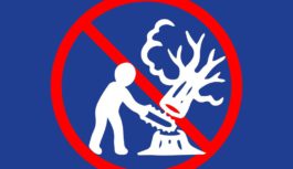 Мали намір заробити на незаконній вирубці лісу, а попались на дачі хабаря співробітникам поліції