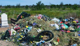 Не несіть на цвинтар мертві квіти…