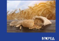Світовий урожай зерна скорочується: що прогнозують для України? Світовий урожай зерна скорочується: що прогнозують для України?