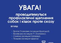 Увага! Відбудеться щеплення кішок і собак від сказу
