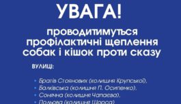 Увага! Відбудеться щеплення кішок і собак від сказу