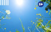 7 небезпечних міфів про спеку, які можуть нашкодити здоров’ю