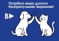 УВАГА! Потрібна ваша допога безпритульним тваринам! УВАГА! Потрібна ваша допога безпритульним тваринам!