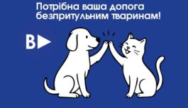 УВАГА! Потрібна ваша допога безпритульним тваринам!