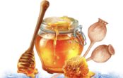 1 серпня – Медовий Спас
