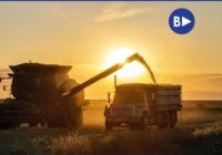 Урожай під загрозою: російські атаки портів можуть коштувати Україні мільярди доларів