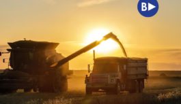 Урожай під загрозою: російські атаки портів можуть коштувати Україні мільярди доларів
